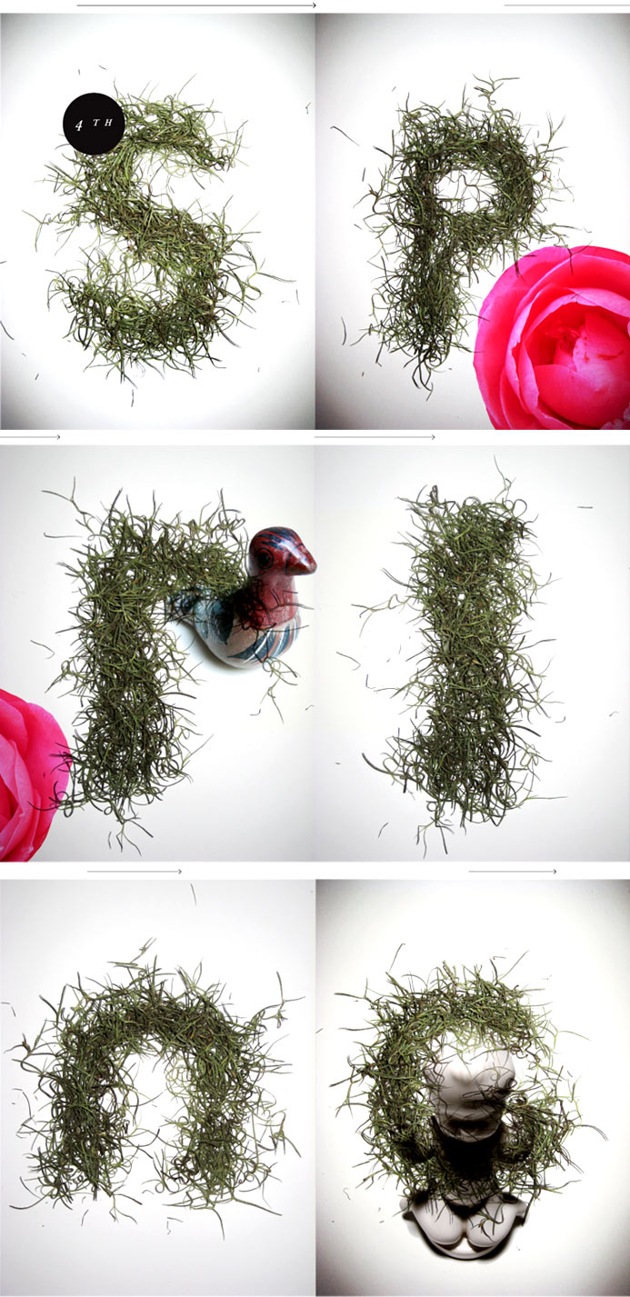 monika_design_spring monika_design_spring